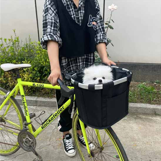 chien blanc dans panier pour velo