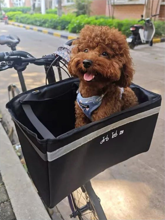 panier velo accroché au guidon avec un chien dedans