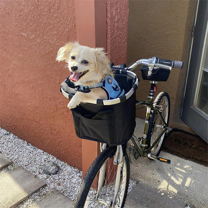 panier pour velo avec chien dedans sortant immeuble