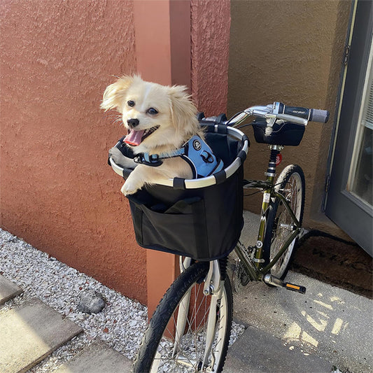 panier pour velo avec chien dedans sortant immeuble
