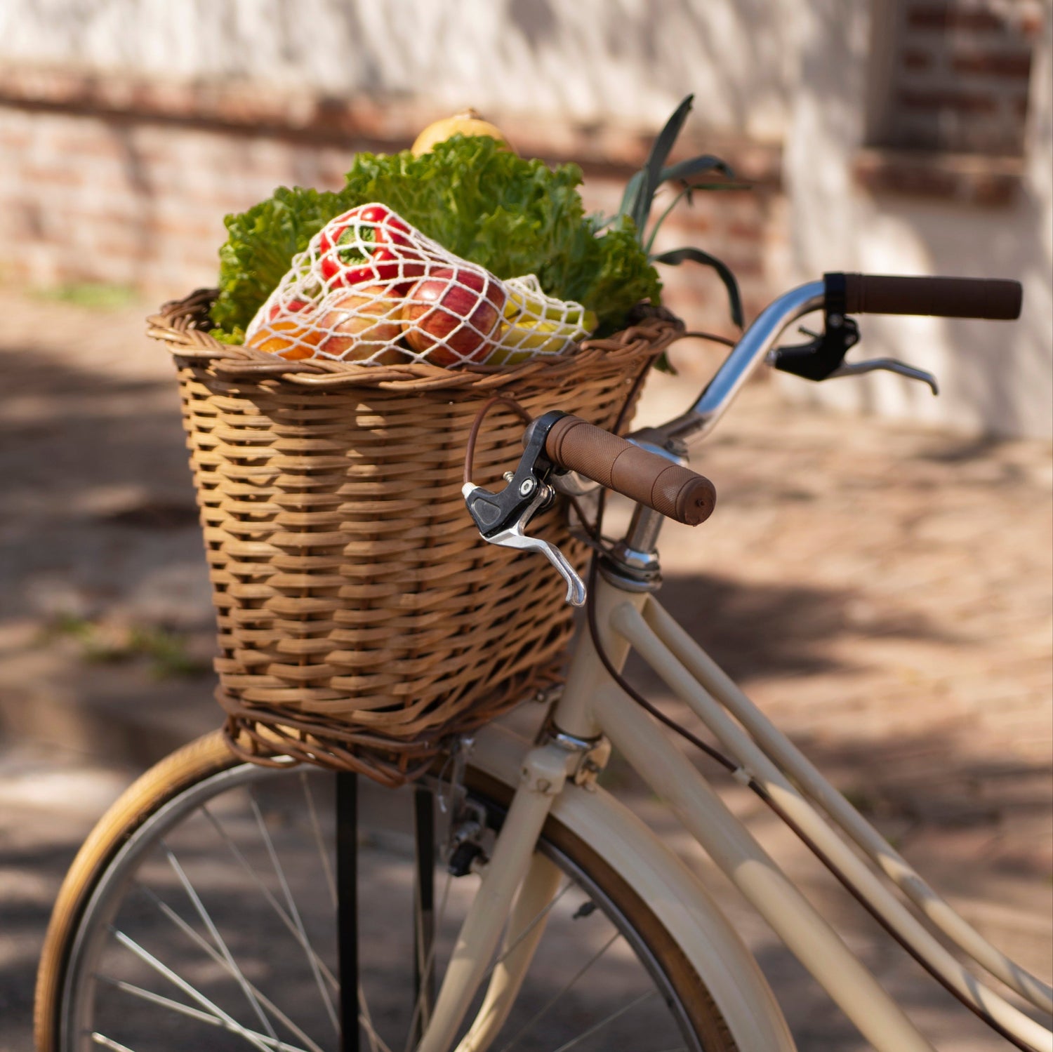 panier velo vue latérale produits d'épicerie
